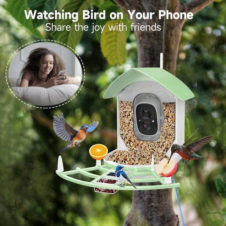 Solar Powered Smart Bird Feeder With WiFi Connectivity Alvore