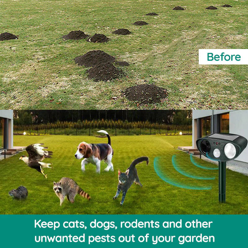 Ultrasonic Armadillo Repellent Alvore