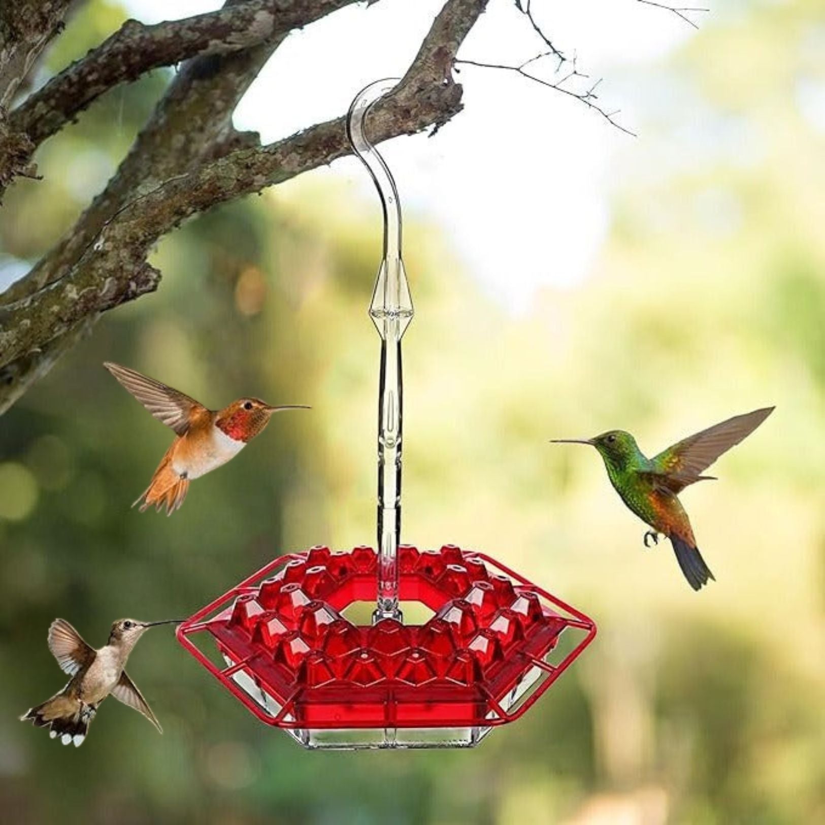 Garden Delight | Ant Proof Hummingbird Feeder with Built-in Moat | Durable Design for Pest-Free Feeding 1