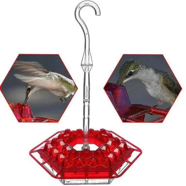 Garden Delight | Ant Proof Hummingbird Feeder with Built-in Moat | Durable Design for Pest-Free Feeding 4