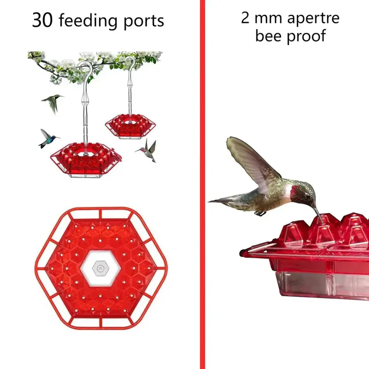 Garden Delight | Ant Proof Hummingbird Feeder with Built-in Moat | Durable Design for Pest-Free Feeding 5