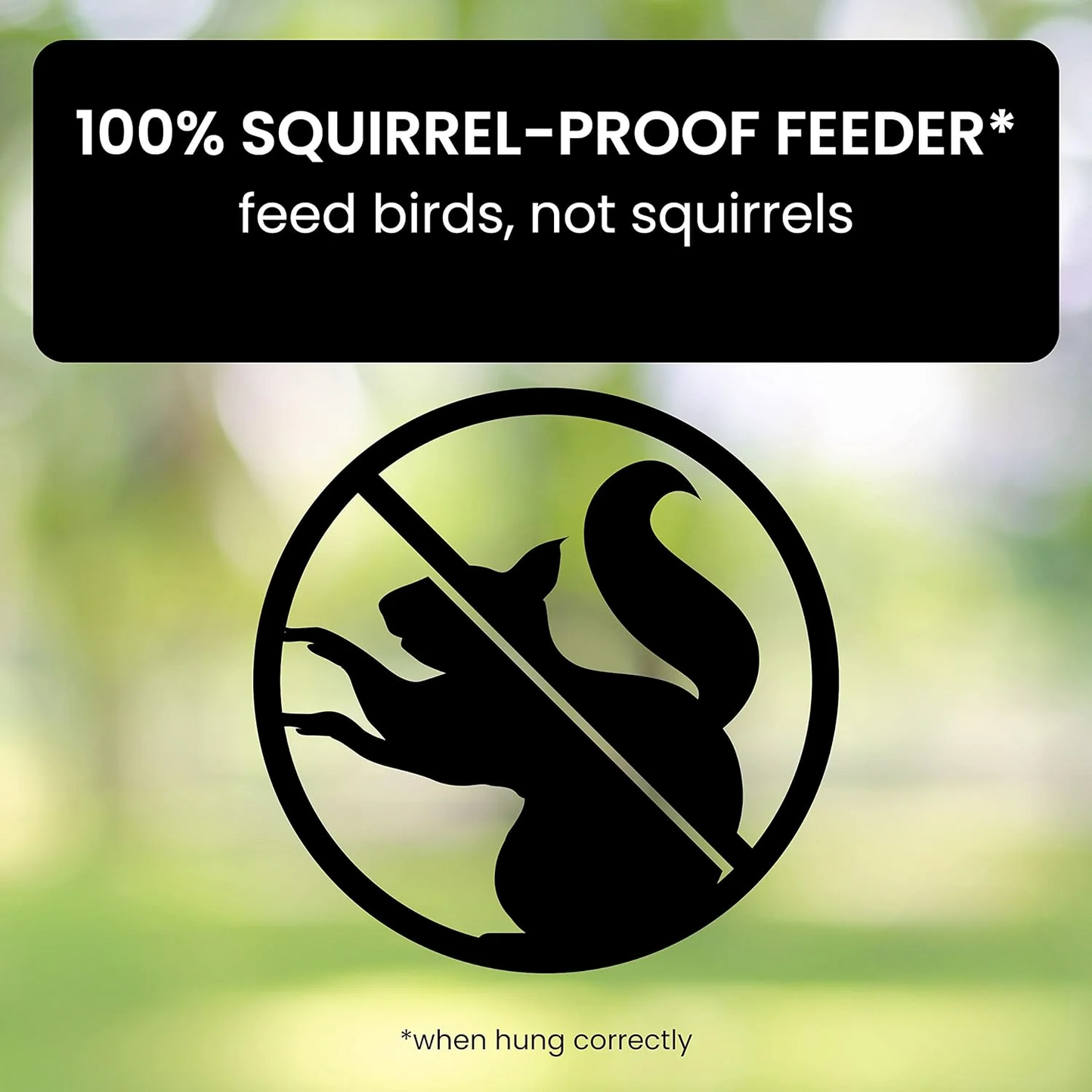 Ultimate Squirrel-Proof Bird Feeder with Weight-Activated Perch | Durable Metal Design for Backyard Birdwatching 1