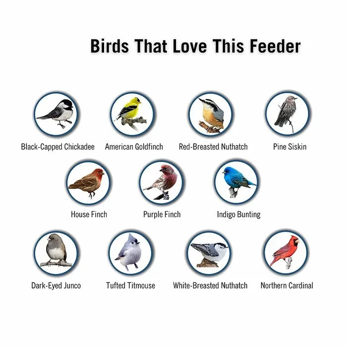 Ultimate Squirrel-Proof Bird Feeder with Weight-Activated Perch | Durable Metal Design for Backyard Birdwatching 5