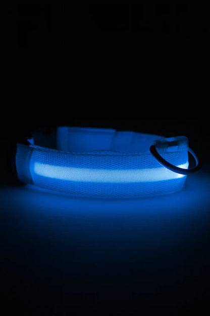 Glowguard Collar