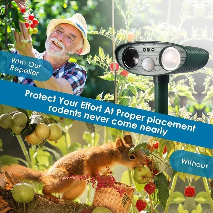 Solar Ultrasonic Chipmunk Repeller Alvore