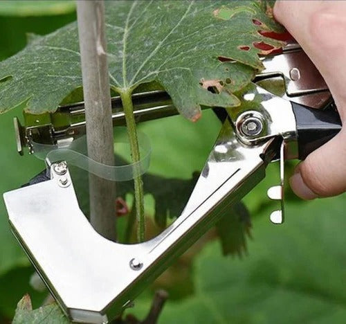 Plant Snapper, Plant Tying Tool Alvore