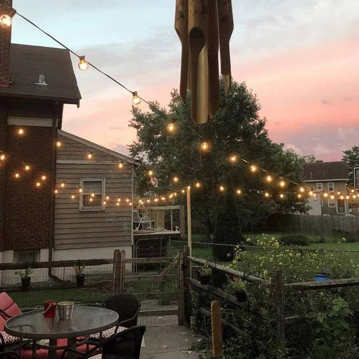 Outdoor LED Bulb String Lights for Home and Events Alvore