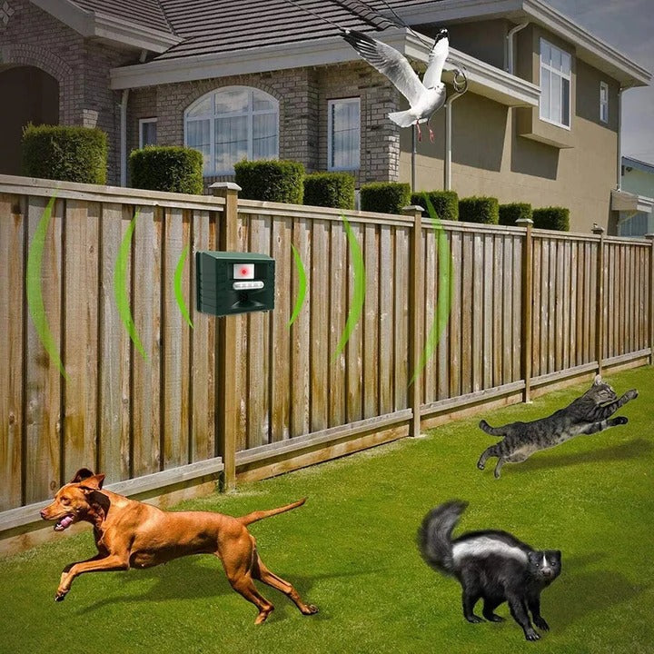 Ultrasonic Bird Deterrent Solar-Powered Outdoor Device Alvore