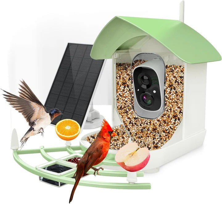 Solar Powered Smart Bird Feeder With WiFi Connectivity Alvore