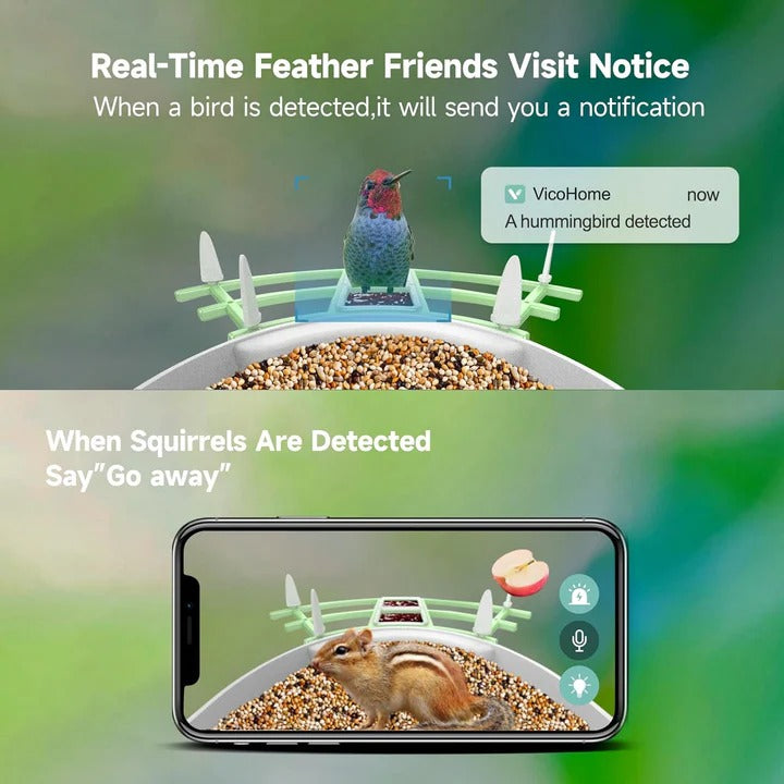Solar Powered Smart Bird Feeder With WiFi Connectivity Alvore