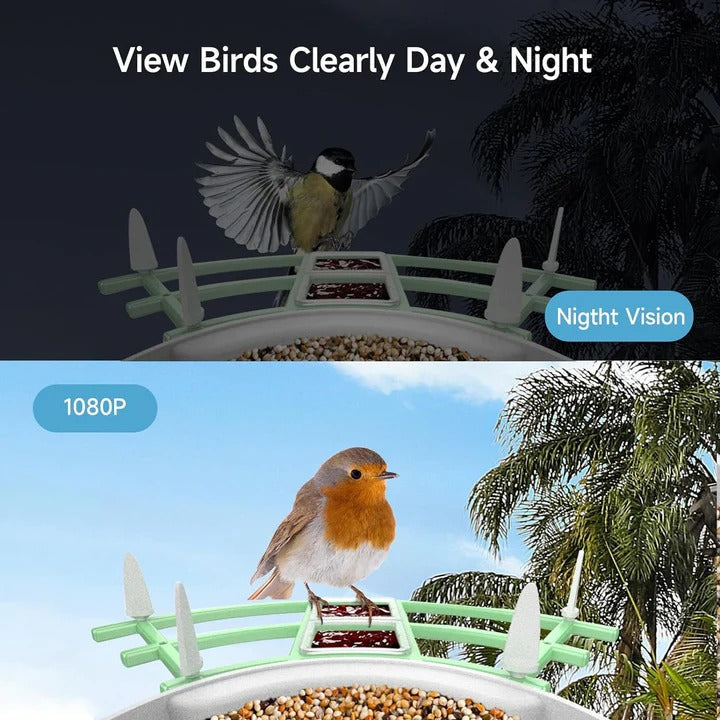 Solar Powered Smart Bird Feeder With WiFi Connectivity Alvore