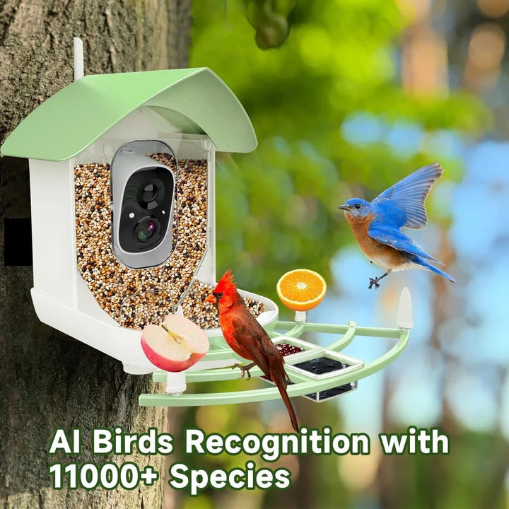 Solar Powered Smart Bird Feeder With WiFi Connectivity Alvore