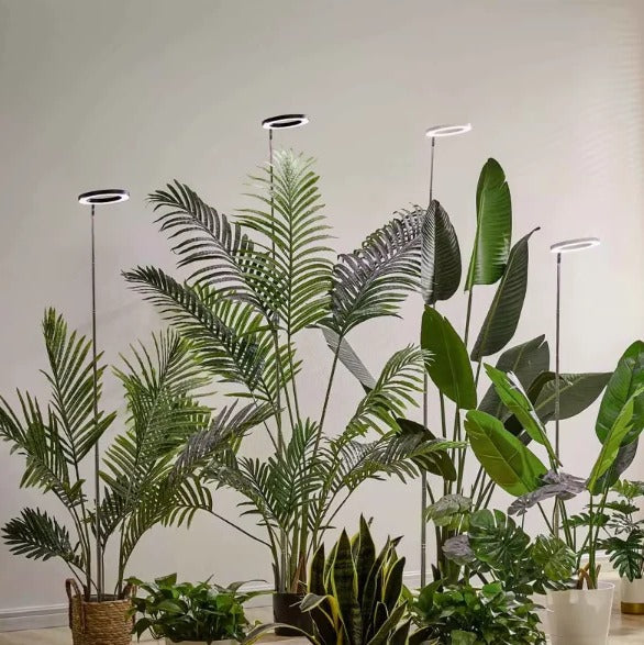 LED Grow Light for Indoor Plants with Automatic Timer Alvore