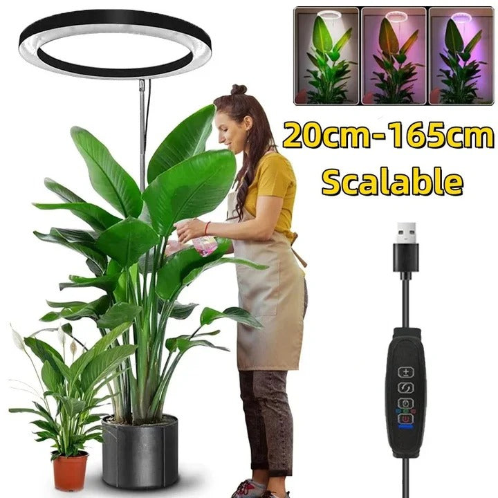 LED Grow Light for Indoor Plants with Automatic Timer Alvore