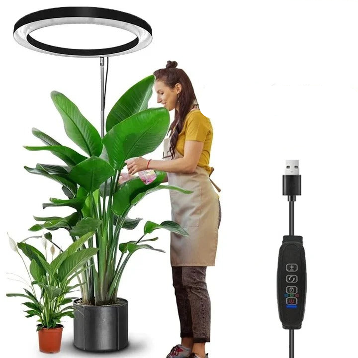 LED Grow Light for Indoor Plants with Automatic Timer Alvore