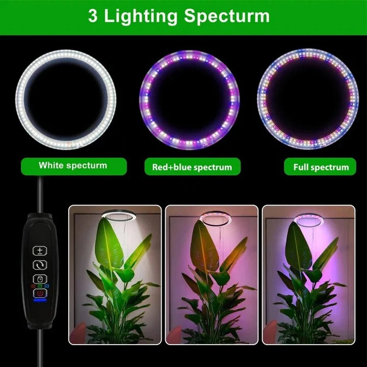 LED Grow Light for Indoor Plants with Automatic Timer Alvore