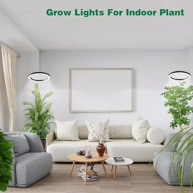 LED Grow Light for Indoor Plants with Automatic Timer Alvore