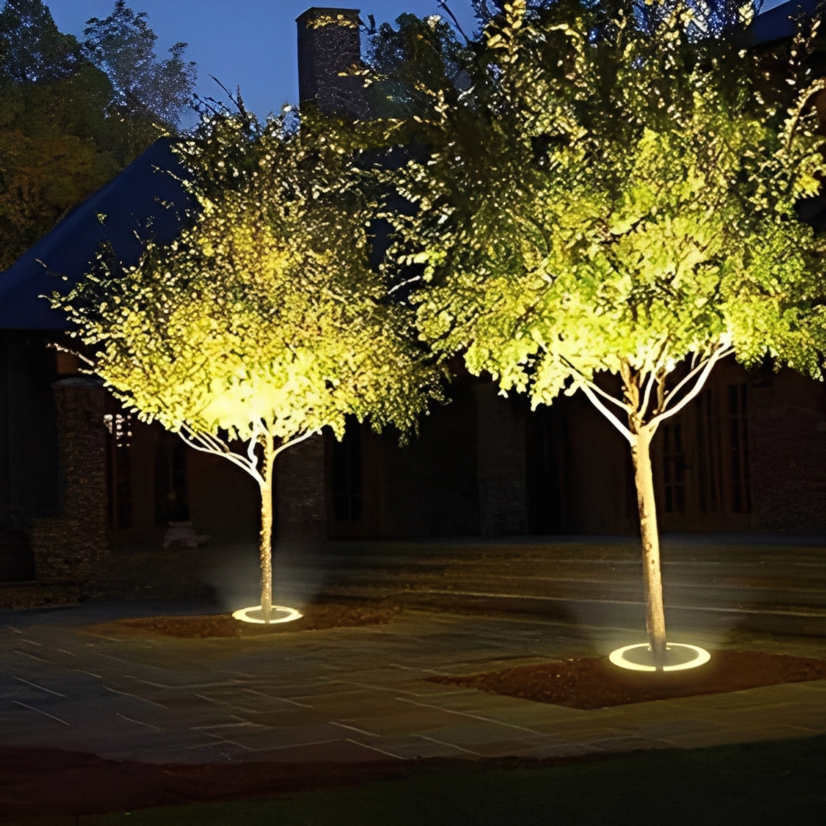 Outdoor LED Spotlight for Tree and Landscape Lighting Alvore