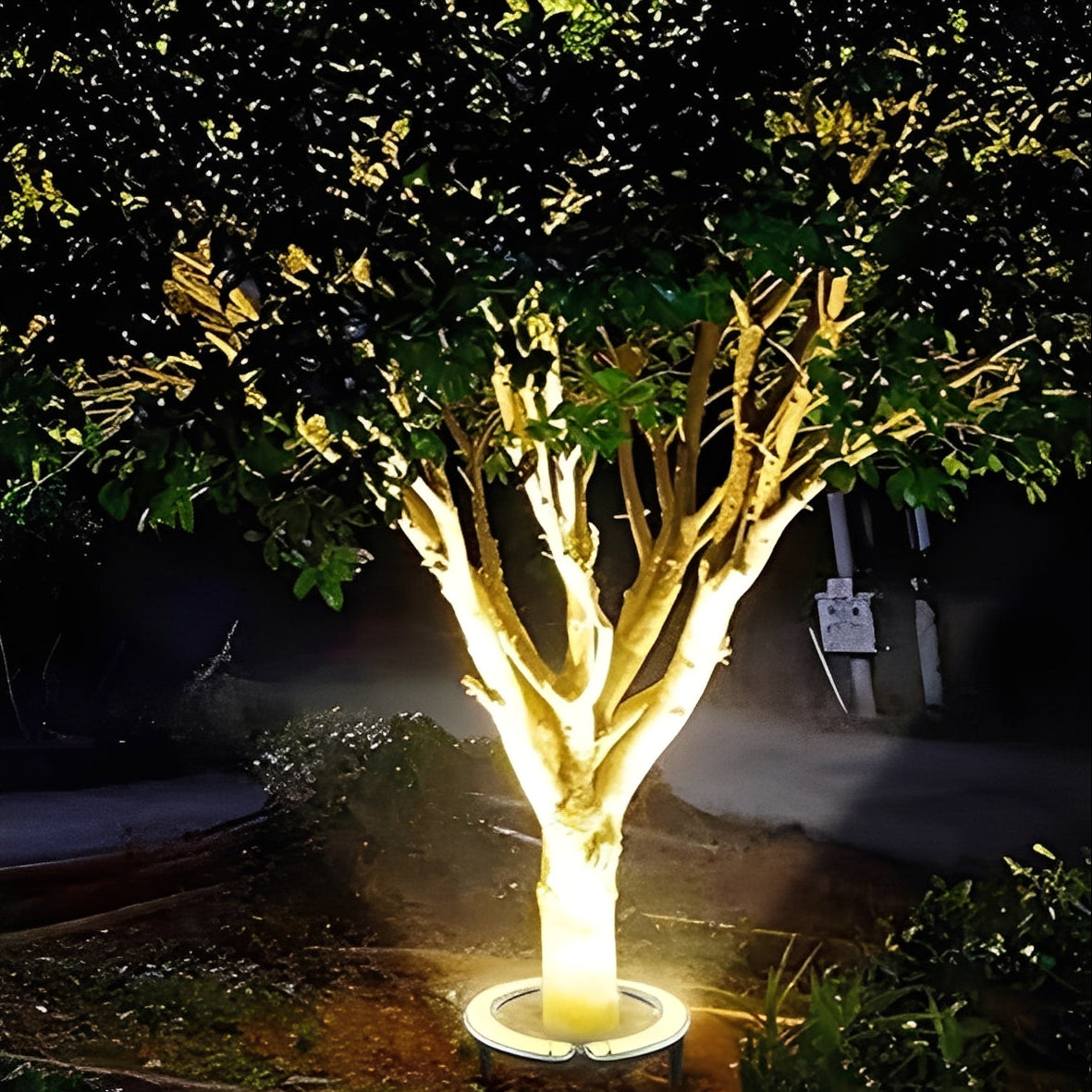 Outdoor LED Spotlight for Tree and Landscape Lighting Alvore