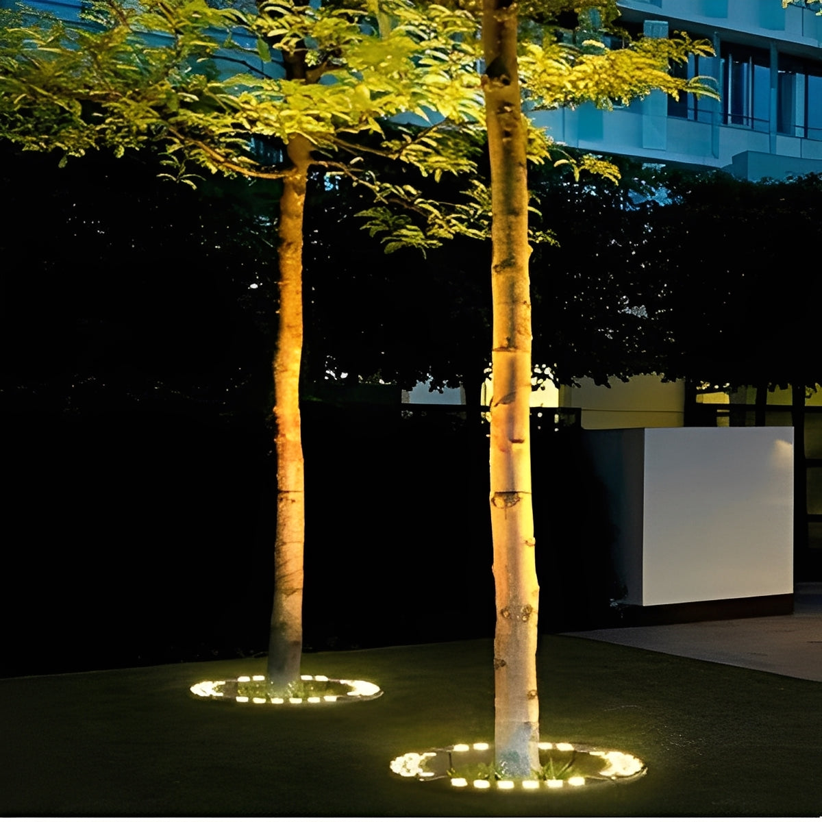 Outdoor LED Spotlight for Tree and Landscape Lighting Alvore