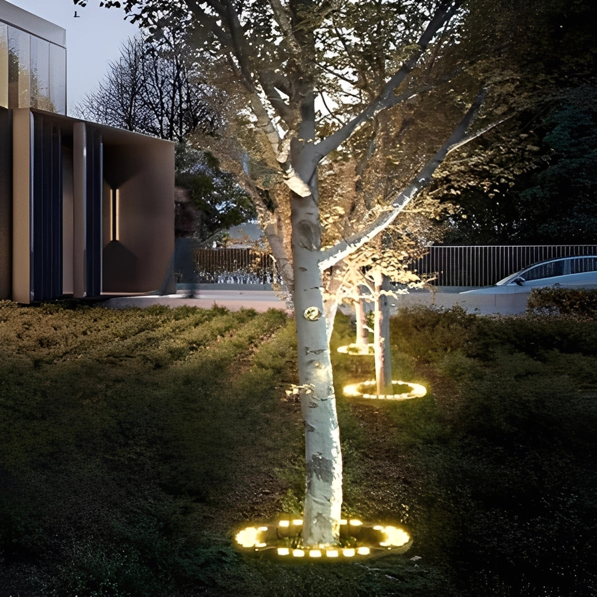 Outdoor LED Spotlight for Tree and Landscape Lighting Alvore