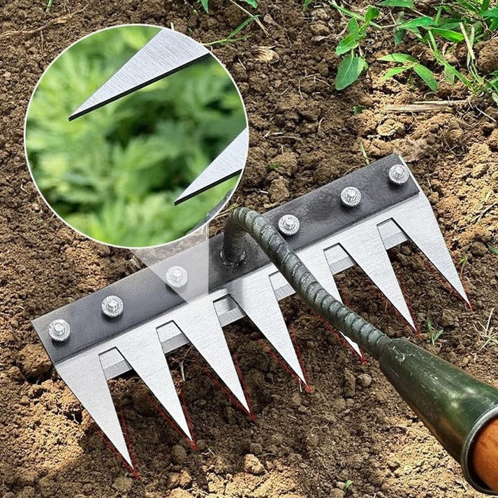 Handle Rakes for Lawn Care and Garden Cleanup Alvore