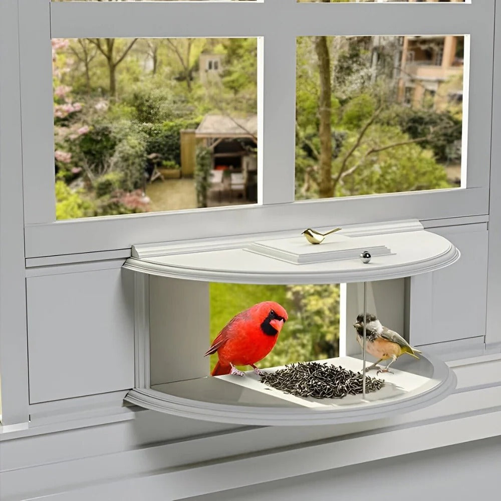Panoramic View Window Bird Feeder Alvore