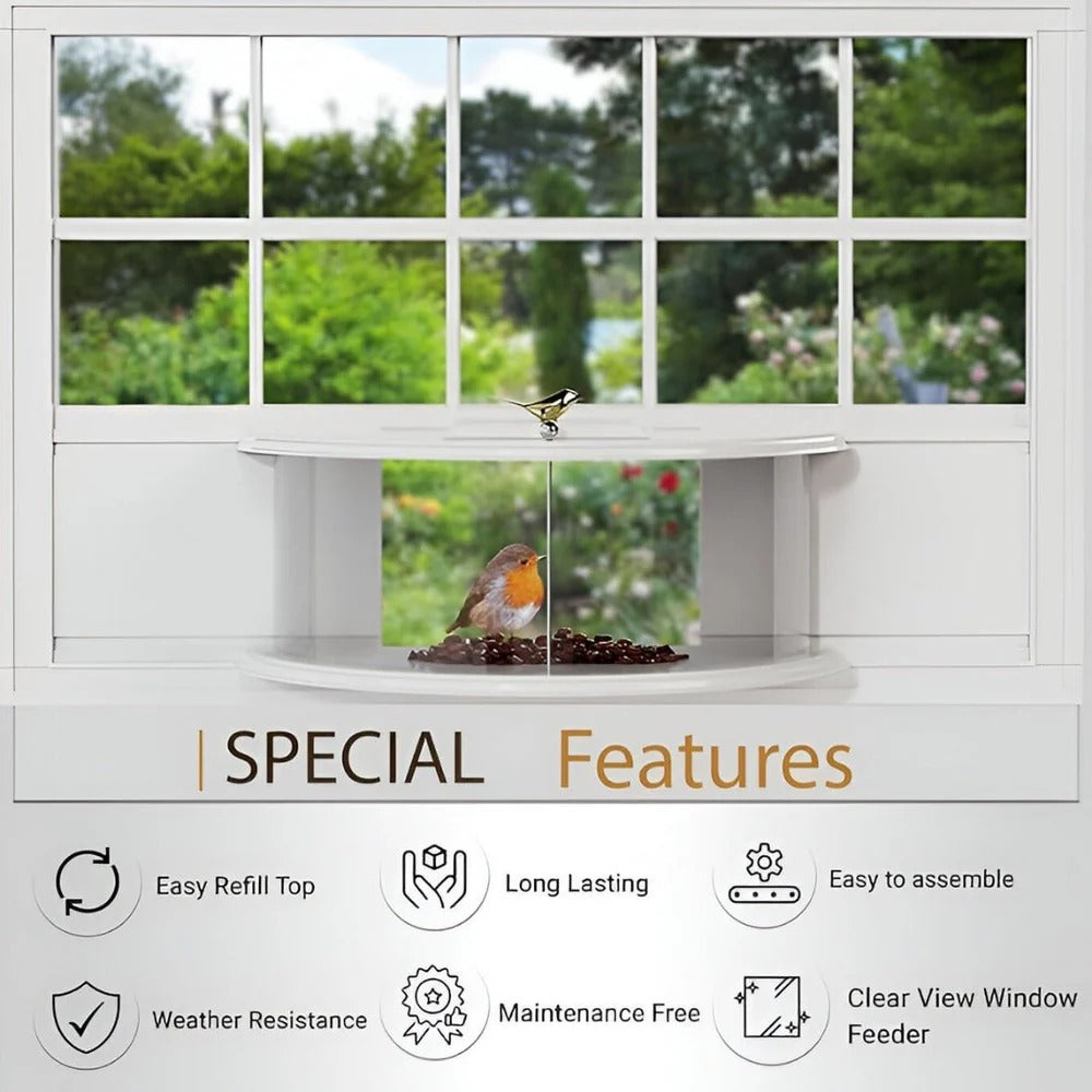 Panoramic View Window Bird Feeder Alvore