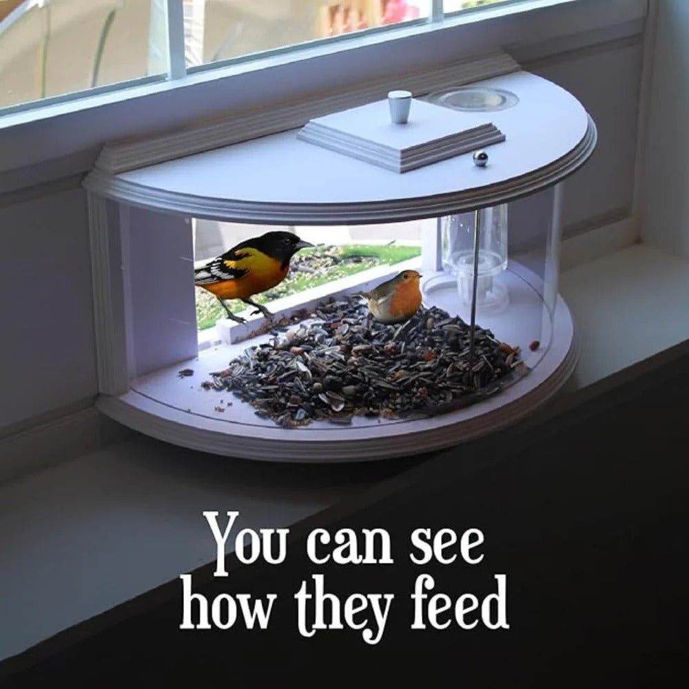 Panoramic View Window Bird Feeder Alvore