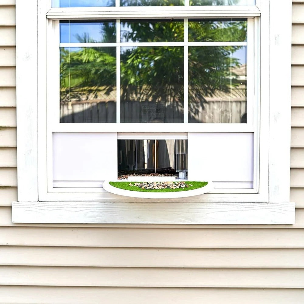 Panoramic View Window Bird Feeder Alvore