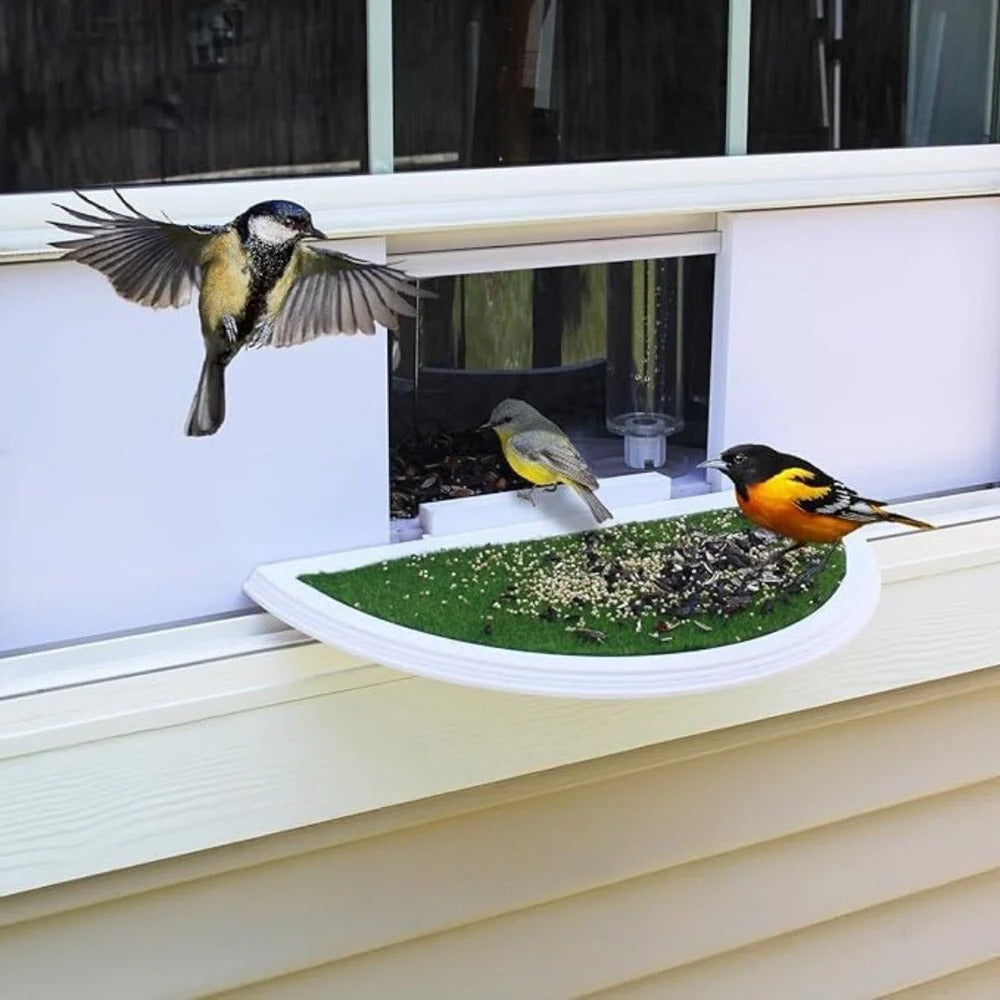 Panoramic View Window Bird Feeder Alvore