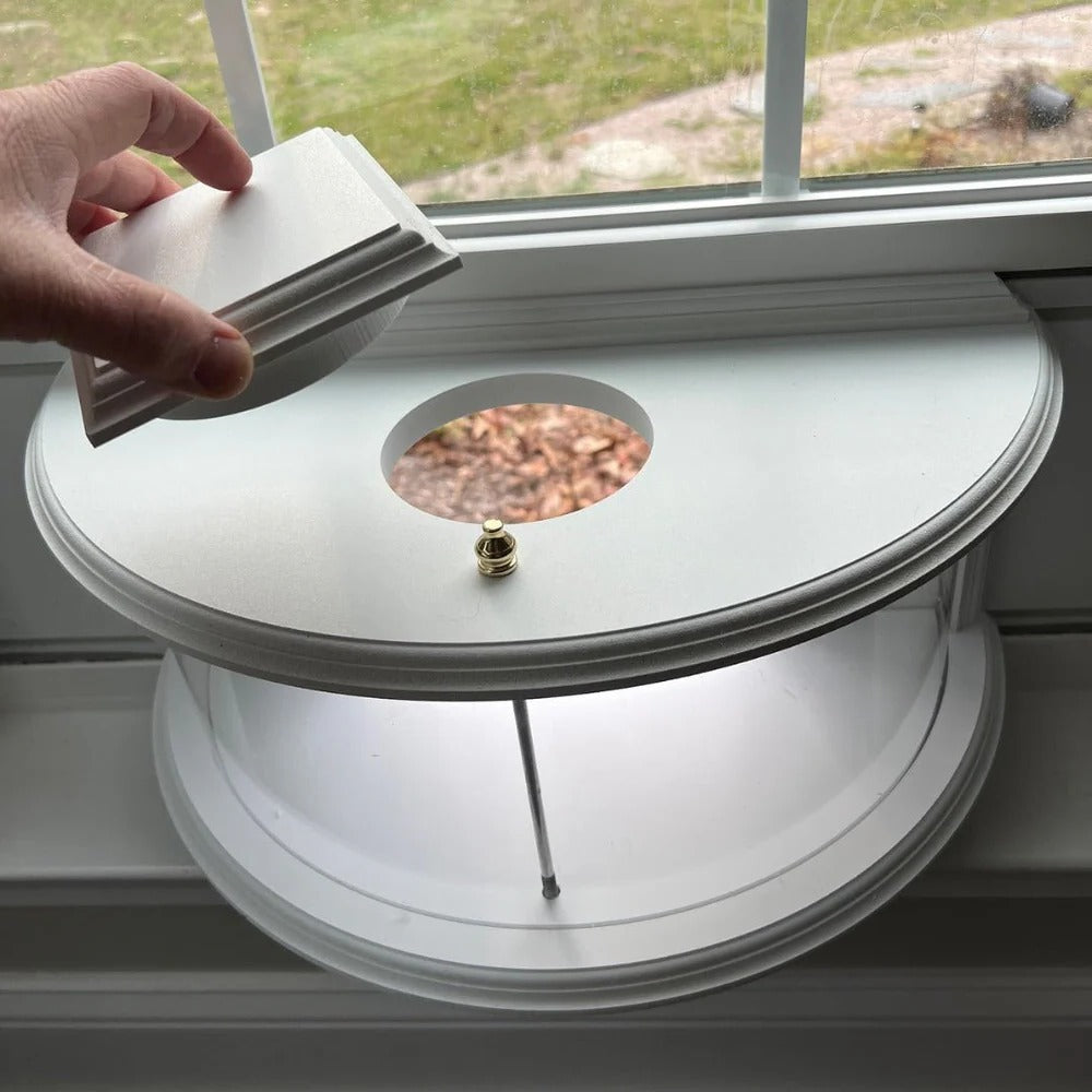 Panoramic View Window Bird Feeder Alvore