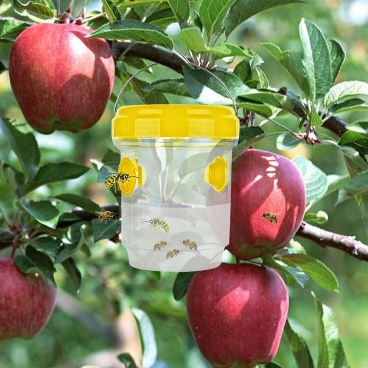 Insect Fruit Fly Traps Alvore