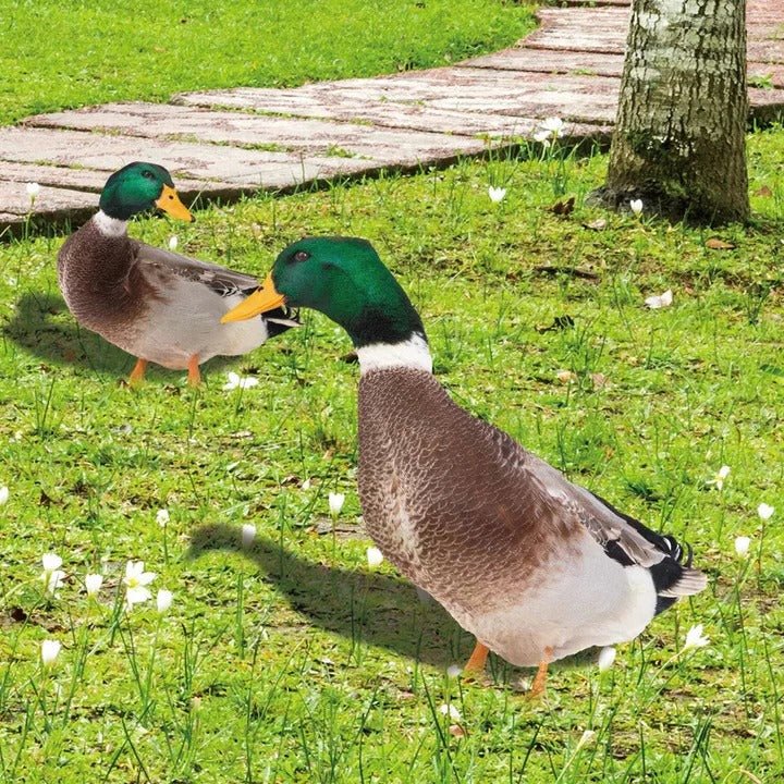Lifelike Duck Sculpture for Garden Alvore