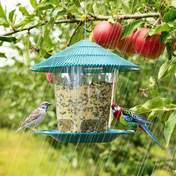 Hanging Bird Feeder with Automatic Seed Dispenser Alvore