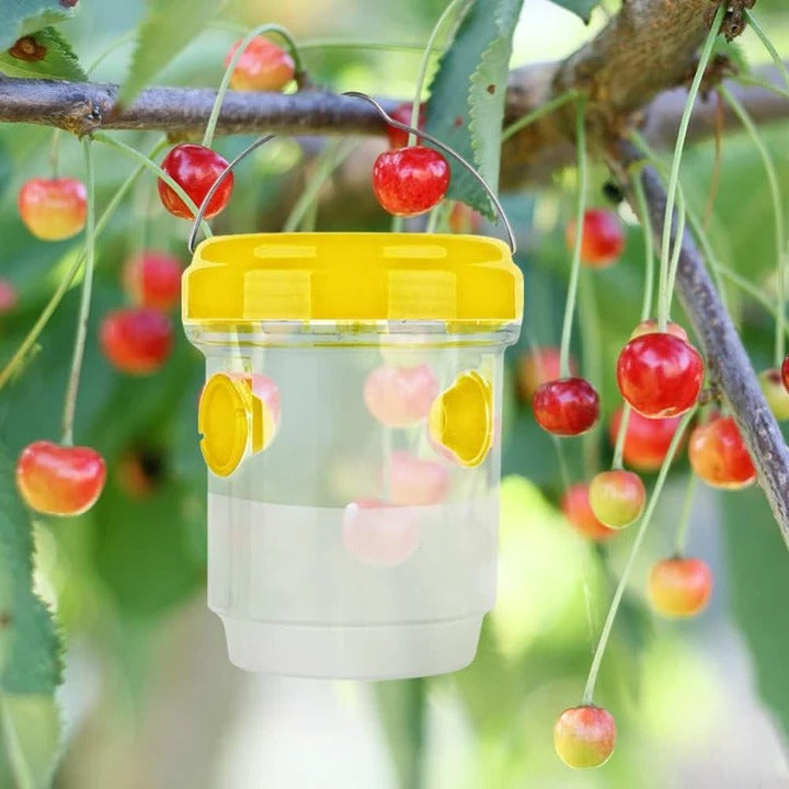 Insect Fruit Fly Traps Alvore