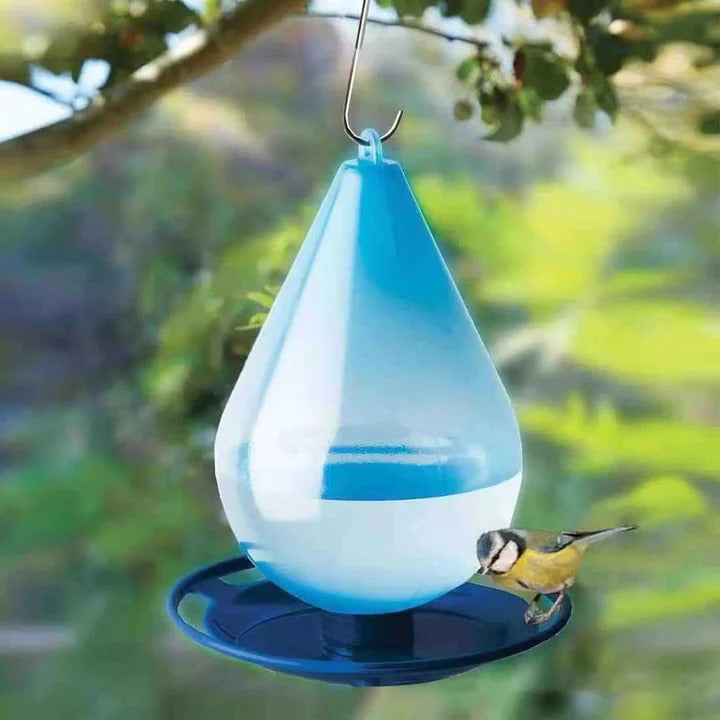 Raindrop Bird Water Feeder Alvore