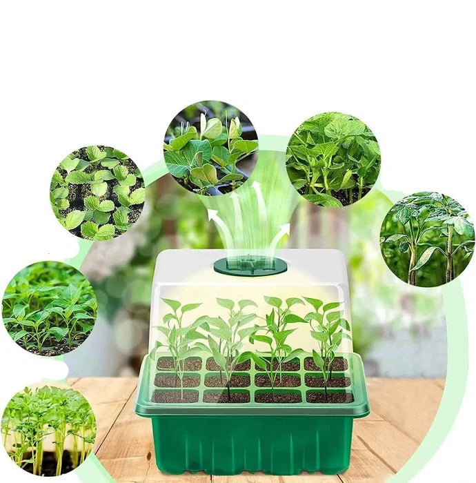 Nursery Pot with Lamp Alvore
