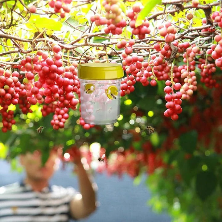 Insect Fruit Fly Traps Alvore