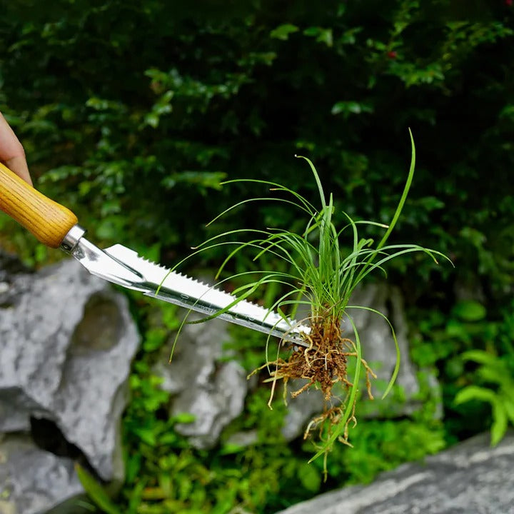 5-in-1 Stainless Steel Weed Puller Tool Alvore