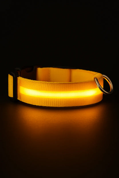 Glowguard Collar