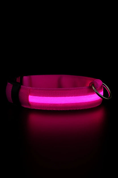 Glowguard Collar