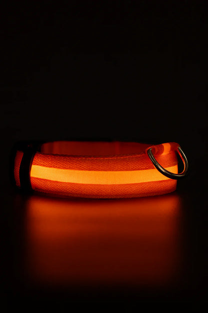 Glowguard Collar